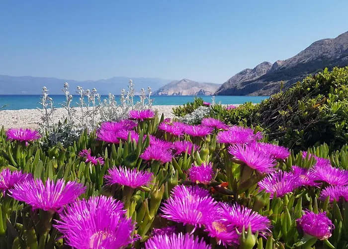 Maison d'hôtes Sersic Baška