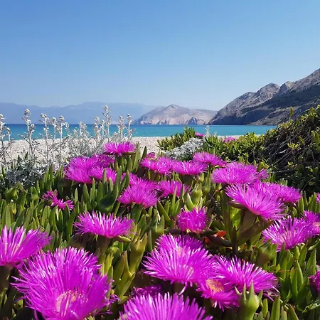 Guest house Sersic Baska (Krk)